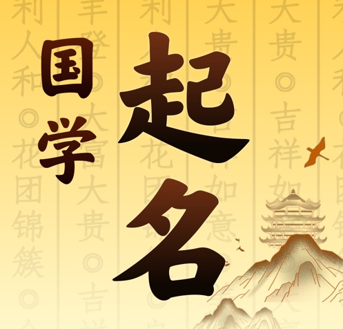 新兴国学起名 人工起名一对一
